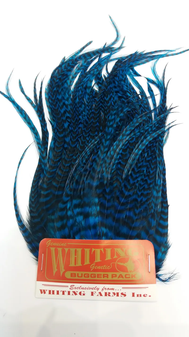 Whiting Bugger Pack in Grizzly Dyed Kingfisher Blue